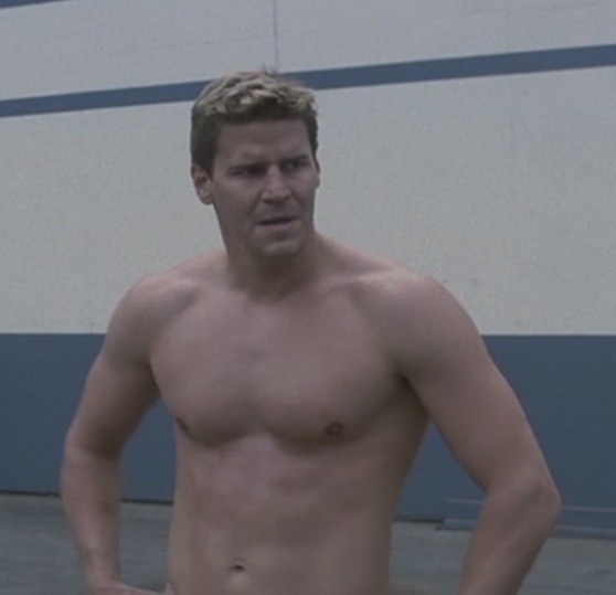 david boreanaz shirtless naked sexy hot muscle abs laying in a bathtub hot ...