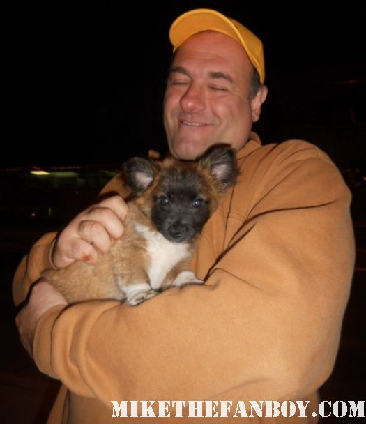 the sopranos star james gandolfini with pretty in pinky and her dog sammy rhodes at the god of carnage play in los angeles