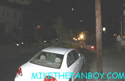 a tree that fell down blocking the street in hollywood rare crashing trees on hollywood side streets