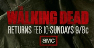 The Walking Dead season 3 promo poster rare andrew lincoln the governor amc press poster hot rare movie poster promo