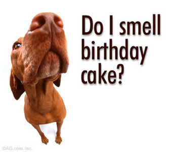 do-i-smell-birthday-cake fun do sniffing the air birthday card greeting rare 