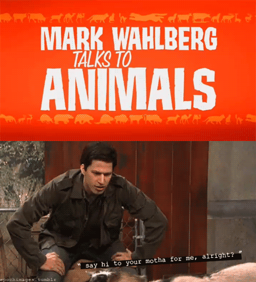 Mark Wahlberg talks to animals gif MArky Mark Shirtless naked gif rare MArky Mark Wahlberg I'm a peacock Party6 marky mark wahberg Confused the happening gif Marky Mark Wahlberg gif good vibrations rare promo 