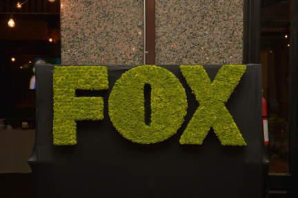 FOX © 2013 FOX Broadcasting Co.