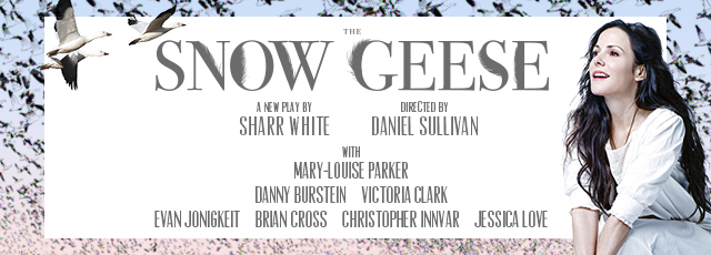Snow Geese poster mary louise parker rare
