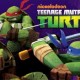 Nick’s Teenage Mutant Ninja Turtles
