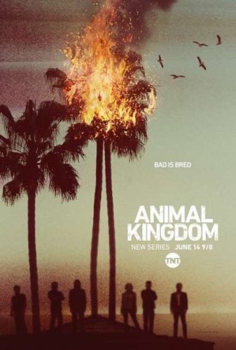 animal_kingdom season one promo poster key art