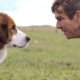 A Dog's Purpose blu-ray contest review 5