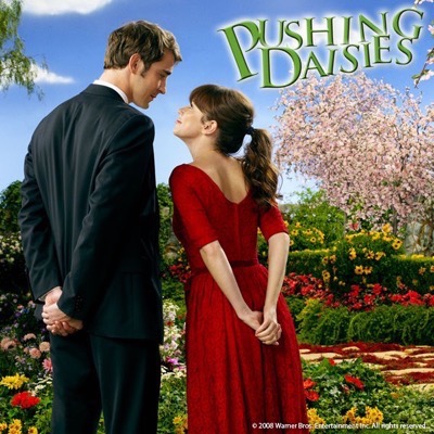 Pushing Daisies cast poster photo 